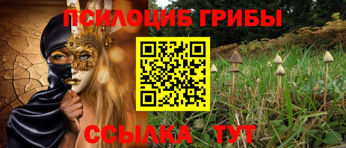 Псилоцибиновые грибы MAGIC MUSHROOMS Ейск