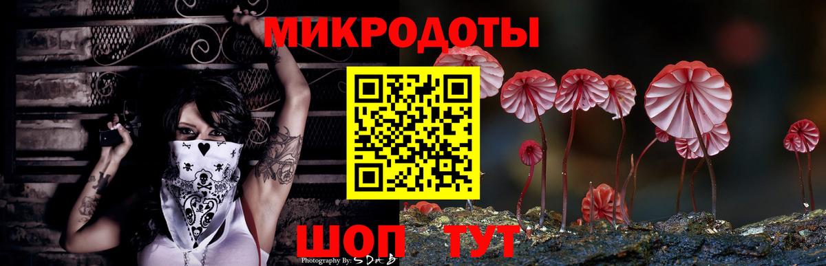 Псилоцибиновые грибы мухоморы  Галлюциногенные грибы Psilocybine cubensis  Ейск  Вход с VPN 